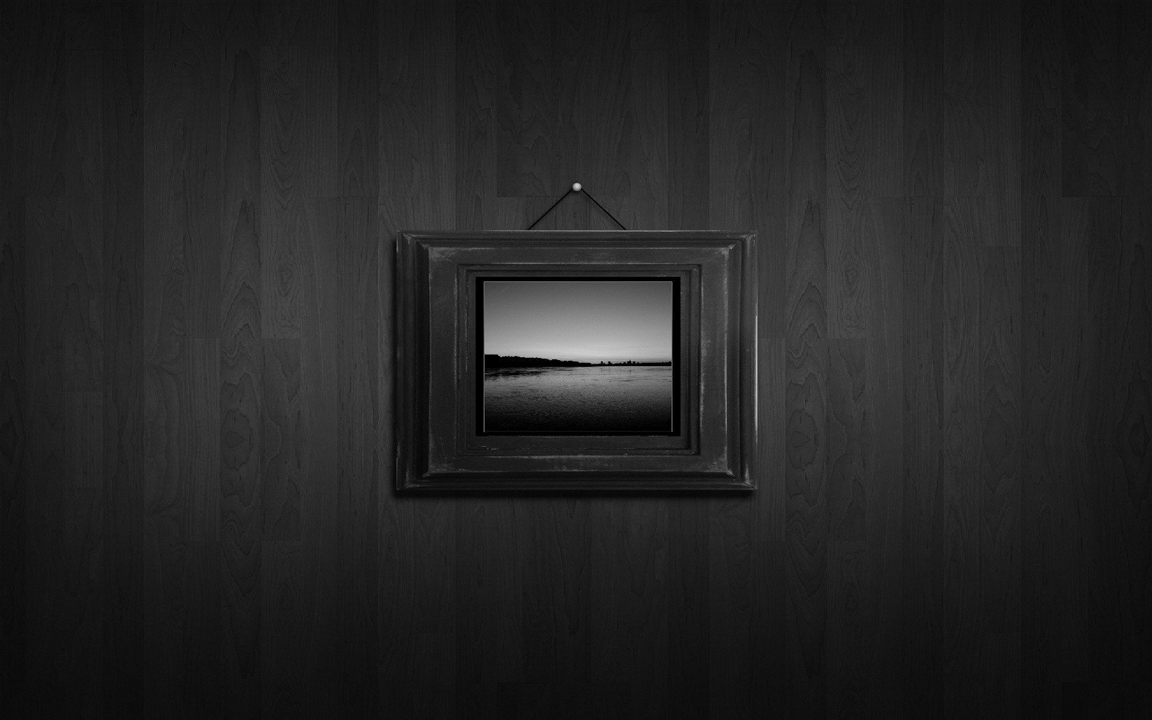 parquet de pared clavel minimalismo pintura naturaleza b-w gris foto