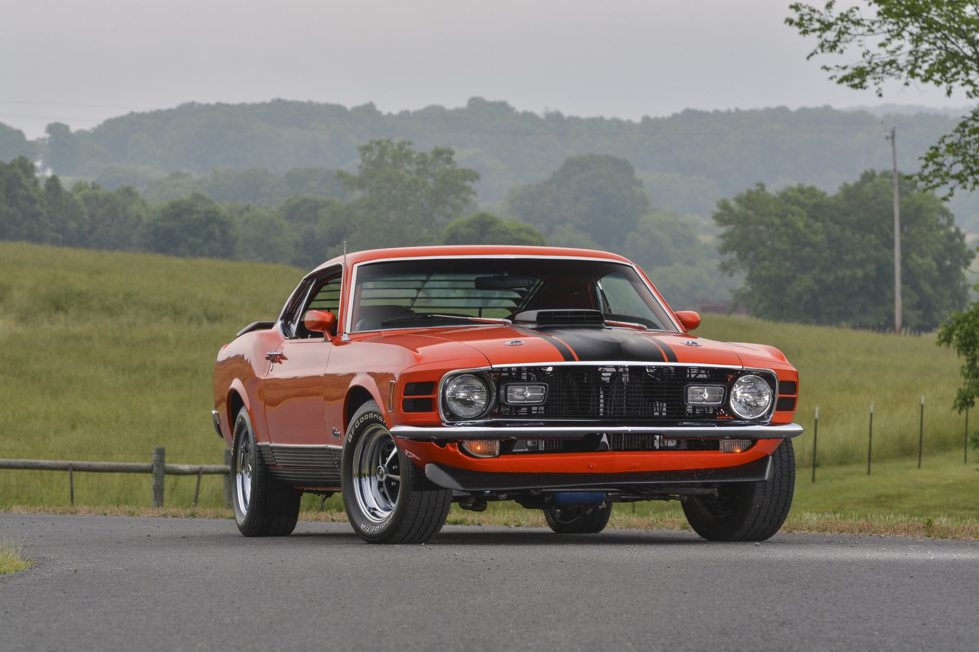 ford mustang mach 1 super cobra jet