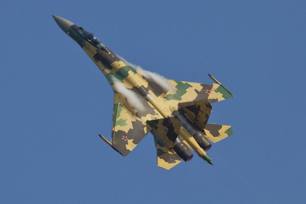 Caza con colores de camuflaje en lo alto del cielo