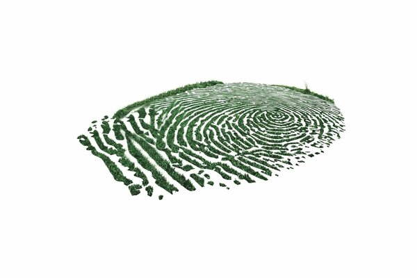 Green fingerprint on a light background