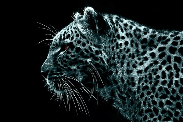 Hermosa cabeza de leopardo plateado