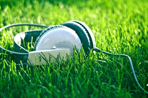 Casque filaire sur l herbe verte