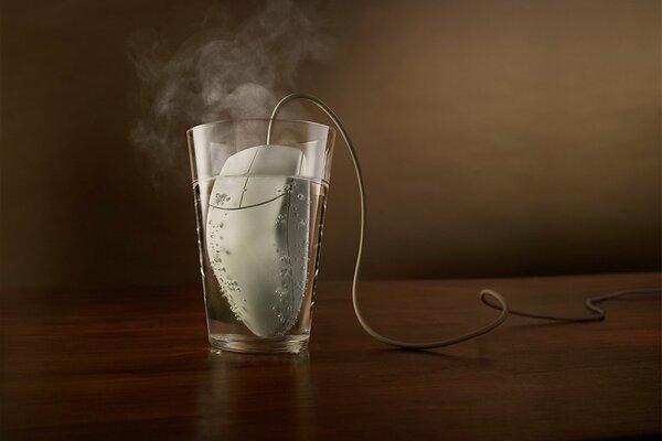 Ratón de ordenador en un vaso de agua