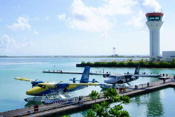 Planes are moored on a summer day