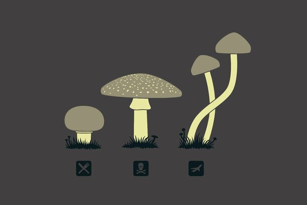 Separation of mushrooms into edible and not