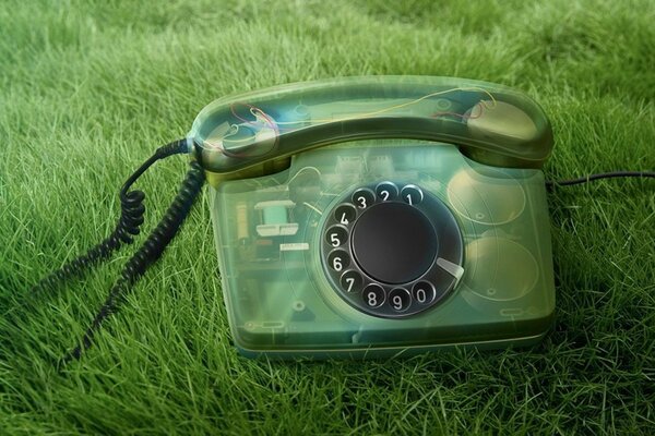 Telefon in einem transparenten Gehäuse auf grünem Gras