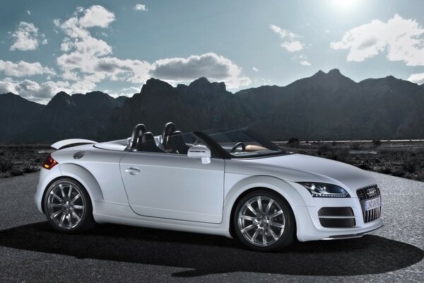 Un elegante Audi convertibile del 2008