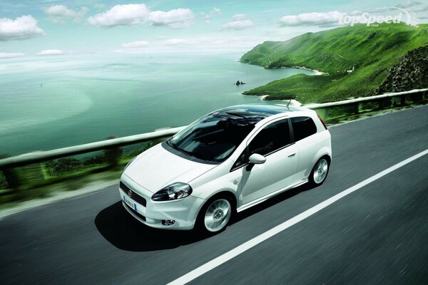 Fiat Punto blanche sur la route