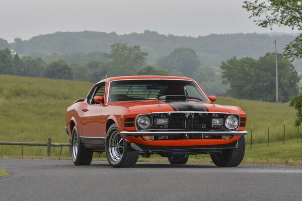 Mustang ford red super cobra