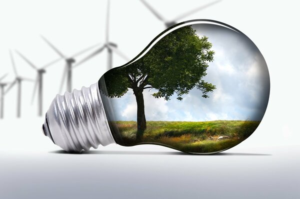 Save nature, use ecological light bulbs