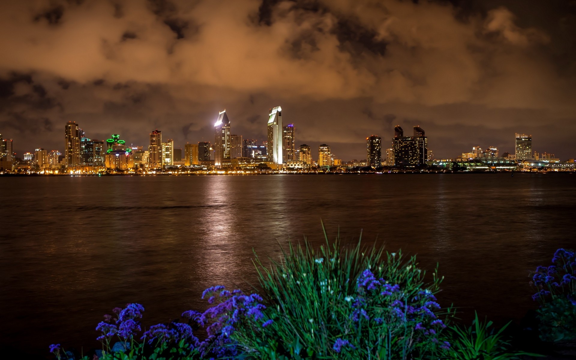 noche san diego ciudad