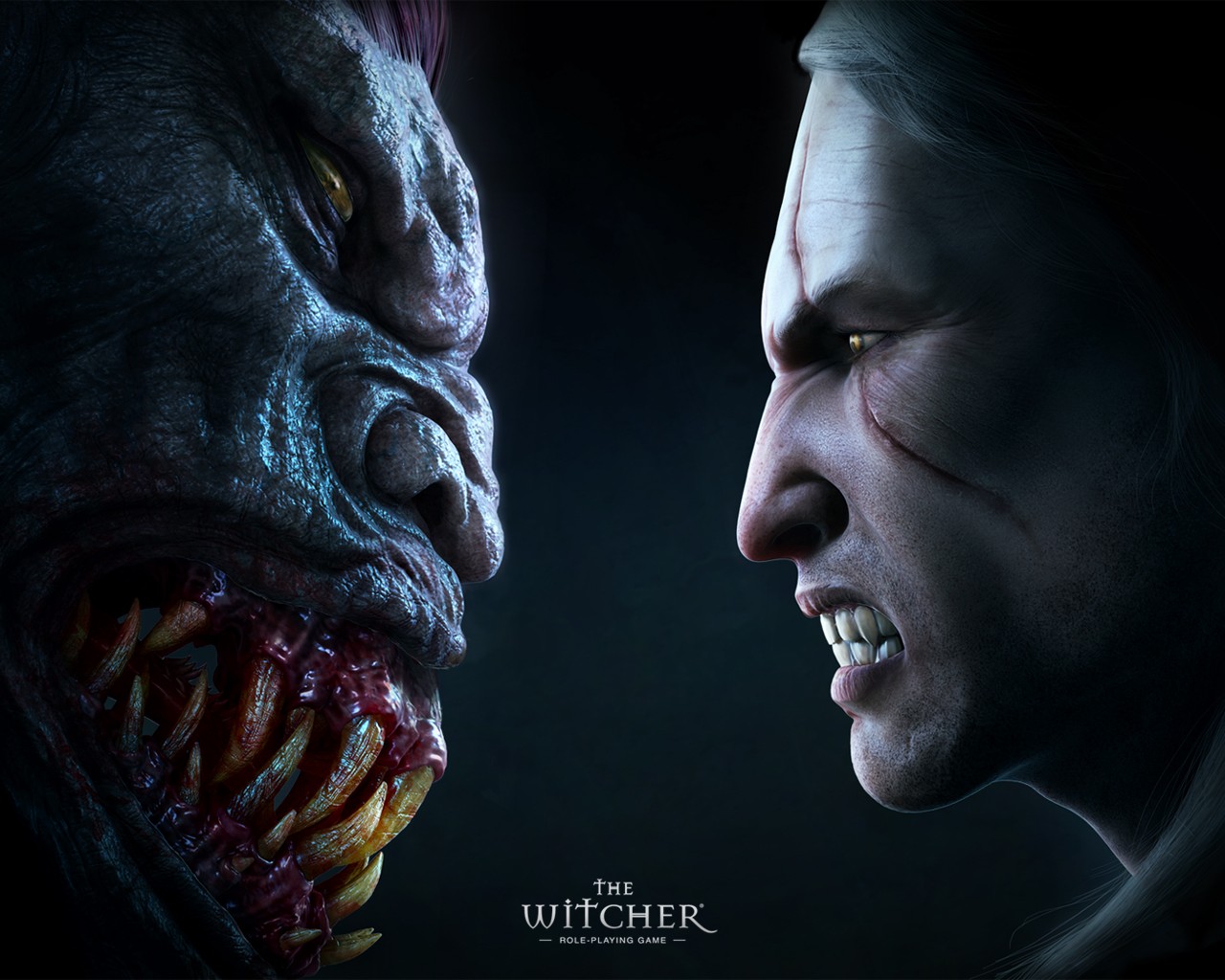 the witcher stryga face-to-face