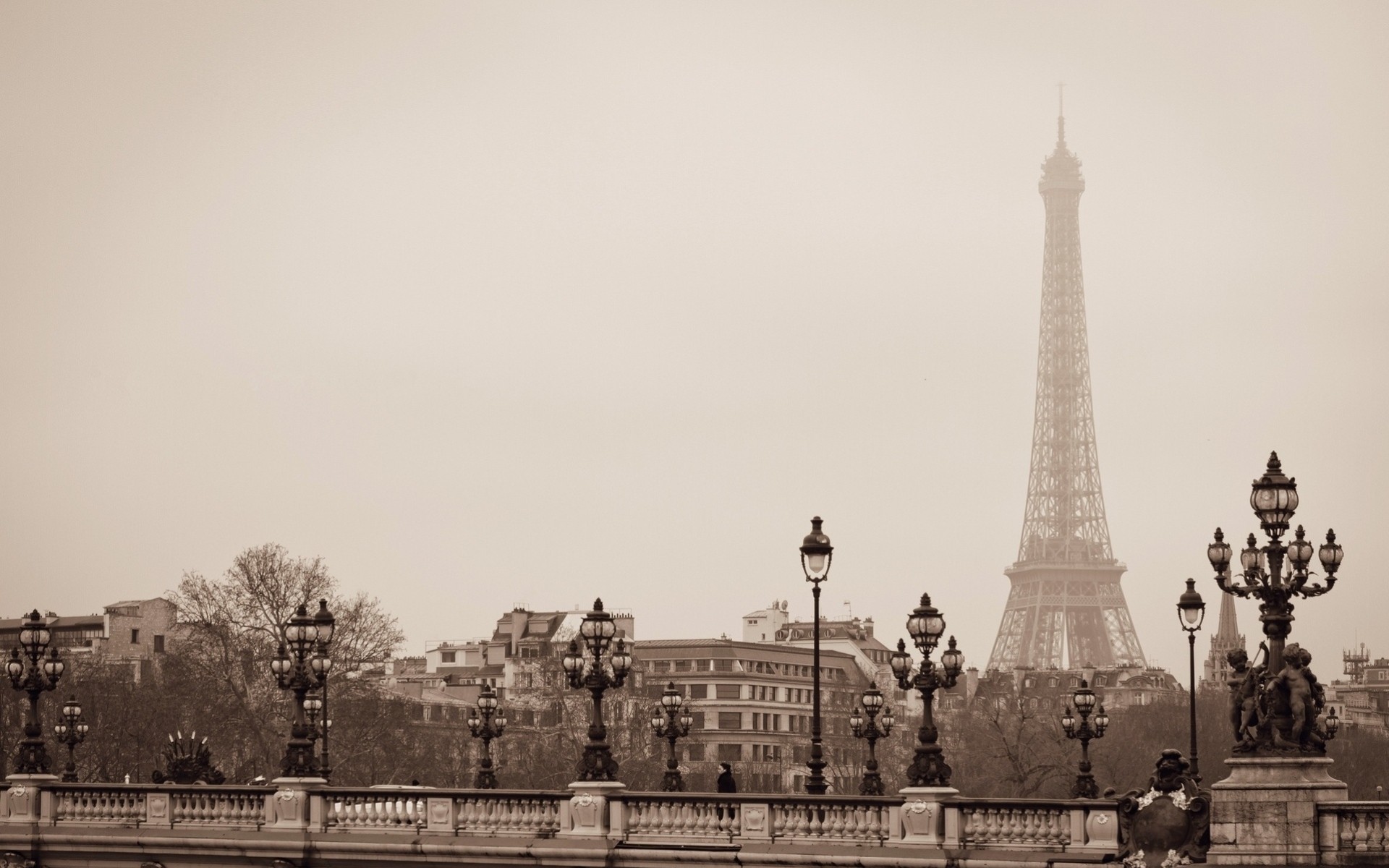 la tour eiffel pont alexandre iii qatar airways pari