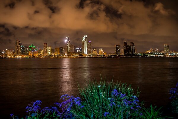 Night view of the river in San Diego