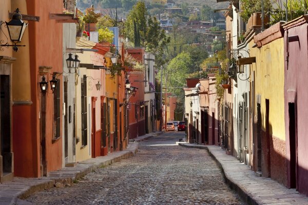 Street landscape with road, sidewalk and houses