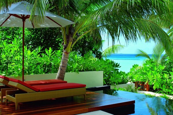 A beautiful hotel in the tropics