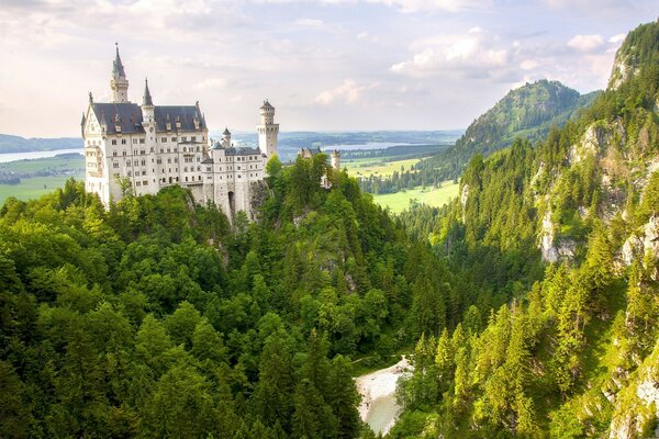 Panorama of the forest with Neuschweinstein Castle