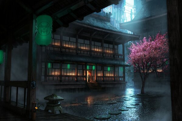 Chinesische Ecke regen Nacht , Sakura