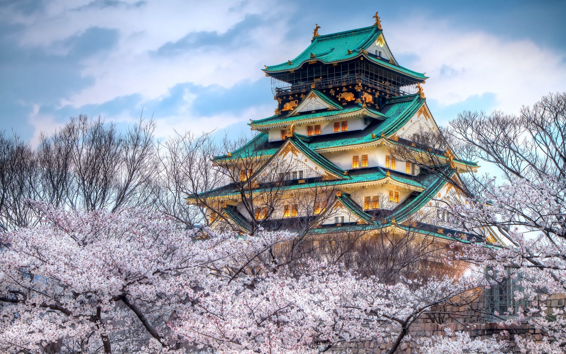 himmel sakura farben frühling tempel