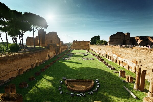 Greenery grass trees ruins rome sunlight