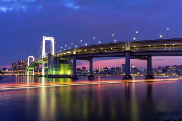 A bridge across the bay against the backdrop of a megalopolis and a cherry sunset