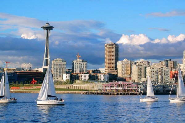 Four yachts on the background of the city