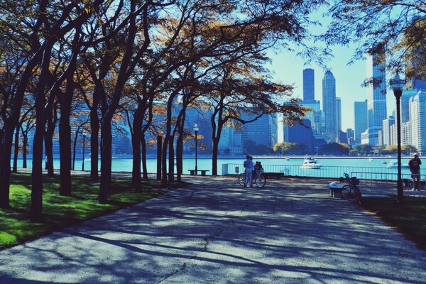 Parc à Chicago sur fond de gratte-ciel