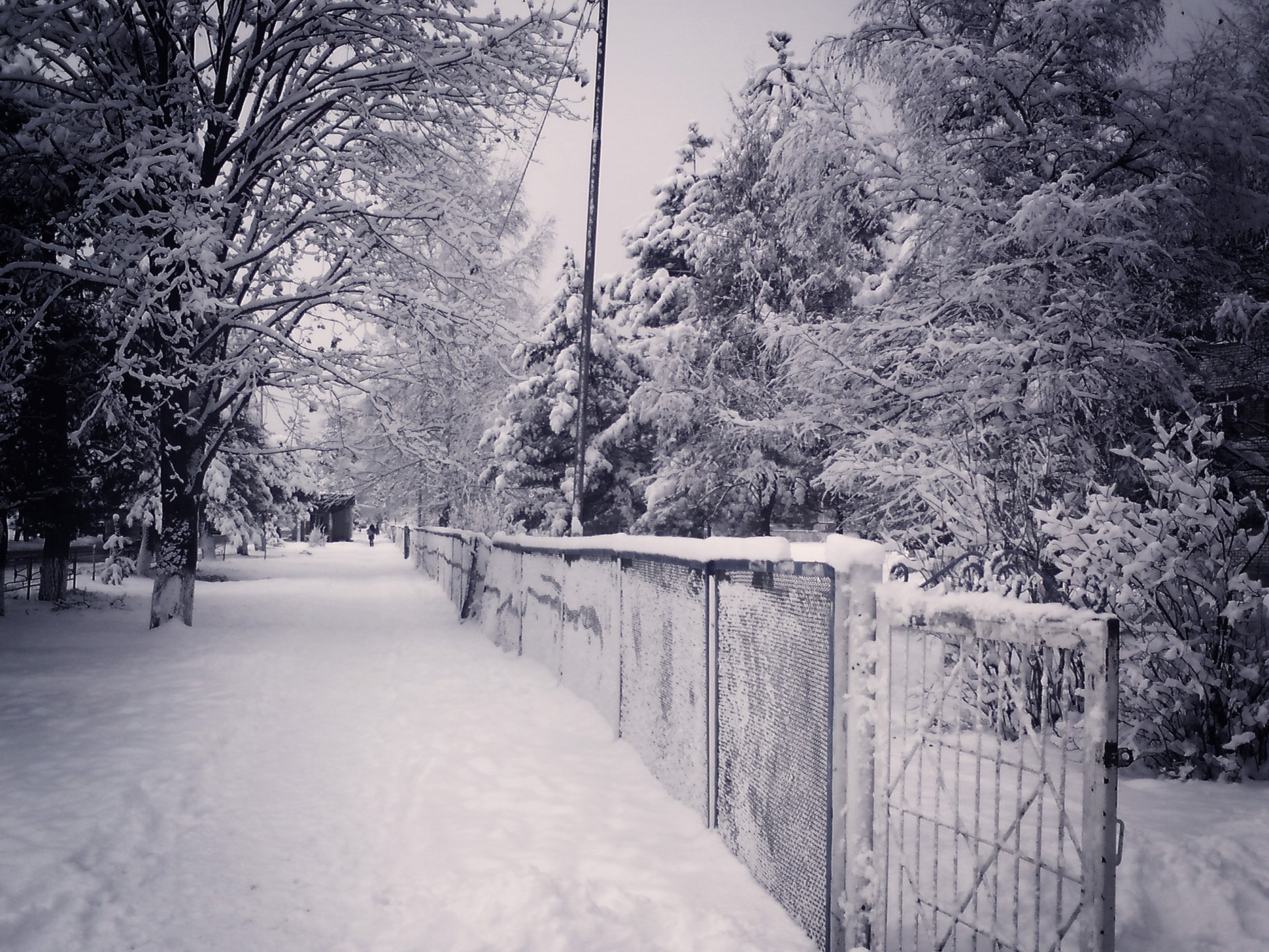 ulica miasto noc śnieg zima