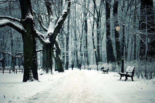 Parque de nieve de la ciudad con banco