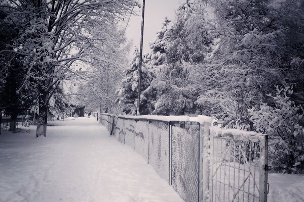 Notte di neve in città