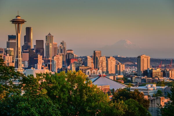 City panorama. Tall buildings