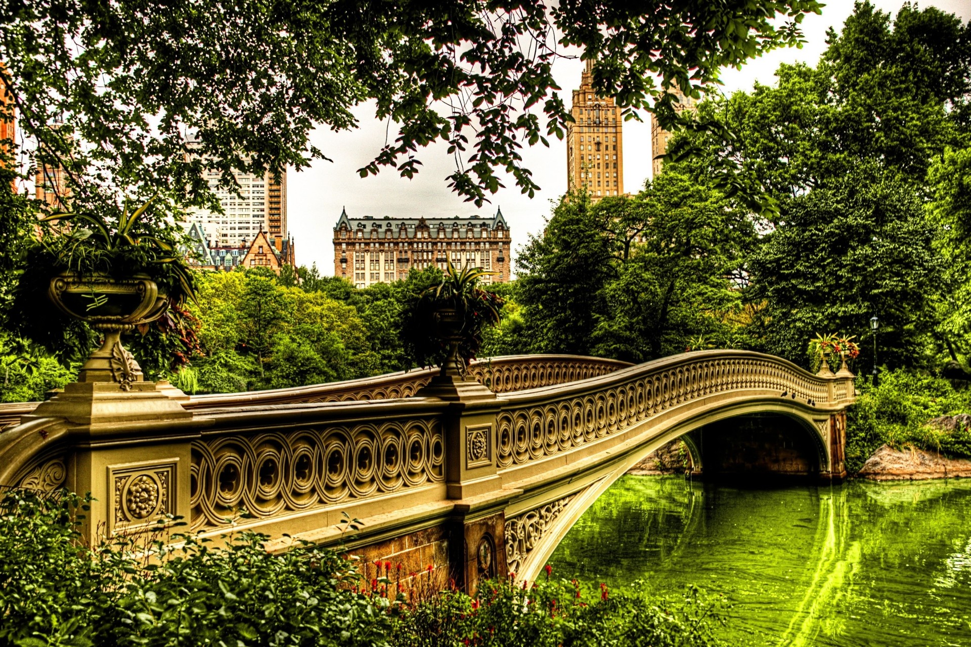 tree bridge river building