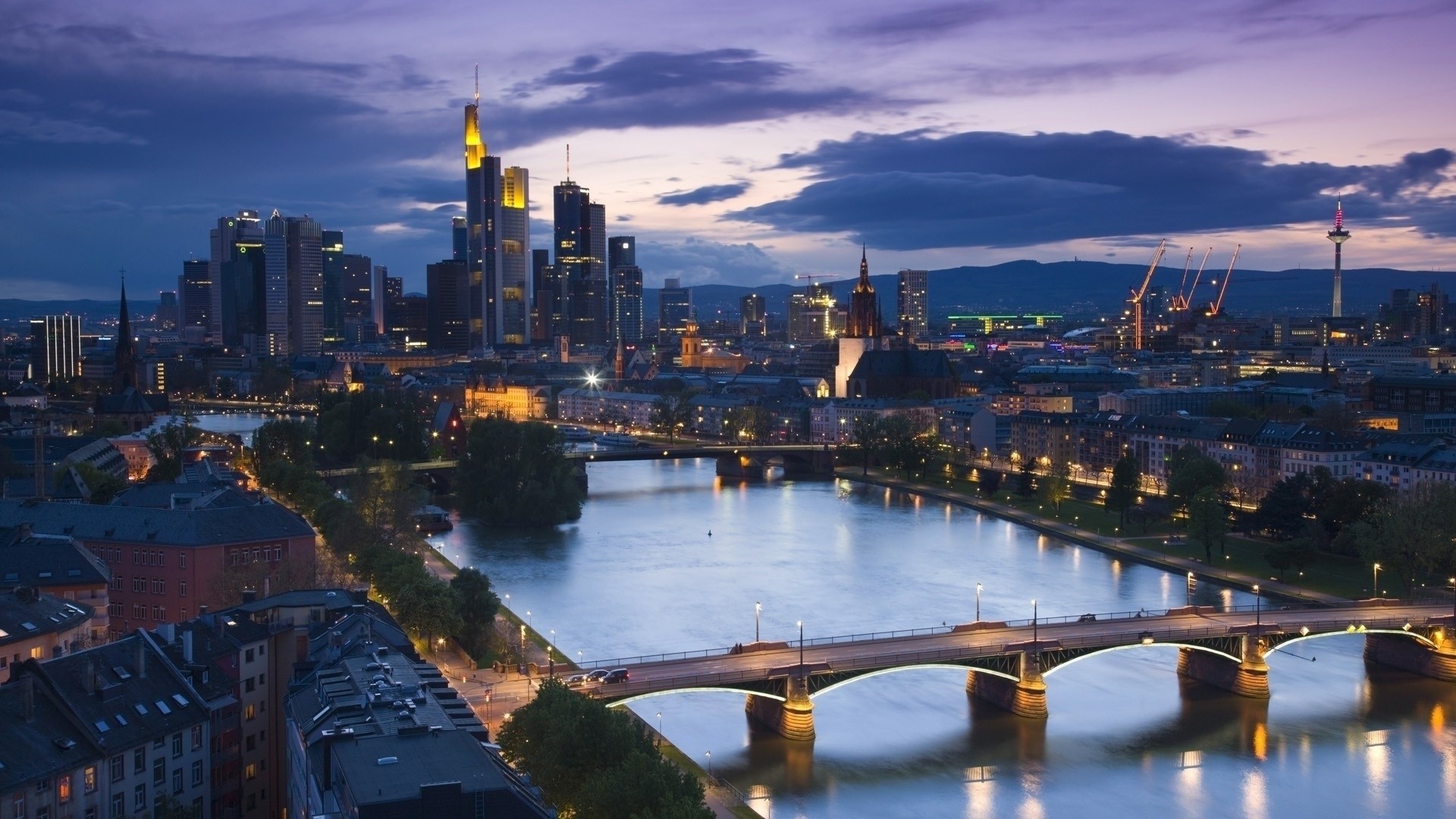 river bridge tree town night frankfurt street house