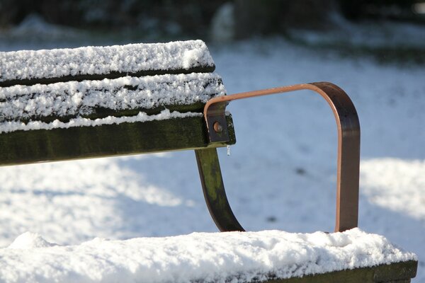 Banc enneigé en hiver dans le parc