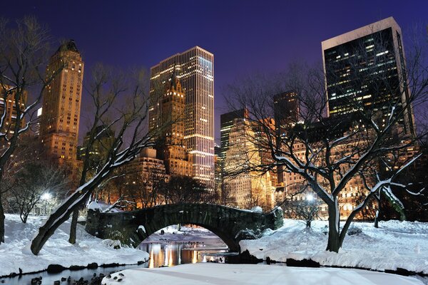 Winter Central Park of New York City