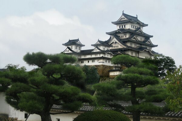Japanese castle on a hill against a background of trees