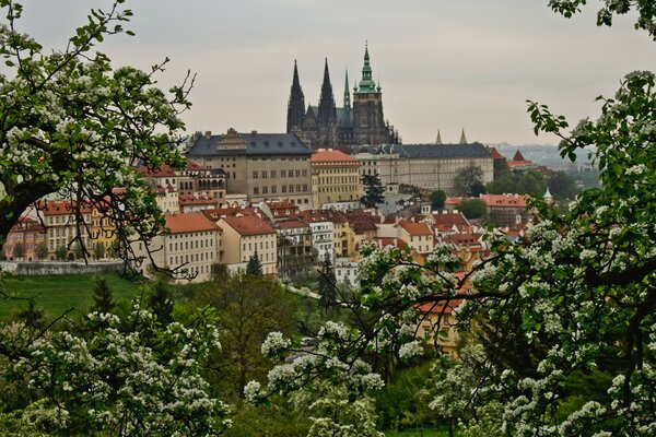 Vista panorámica del edificio de la República Checa en primavera