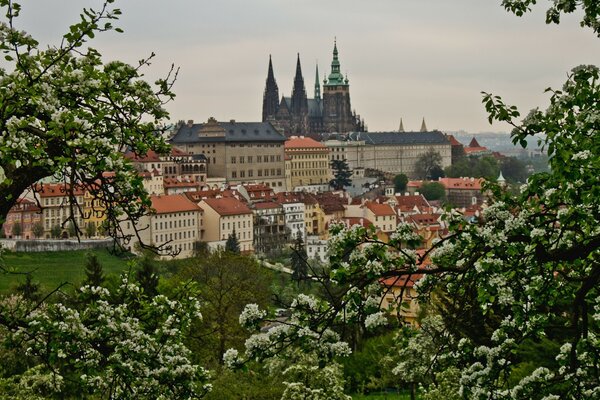 Panoramiczny widok budynku Republiki Czeskiej na wiosnę