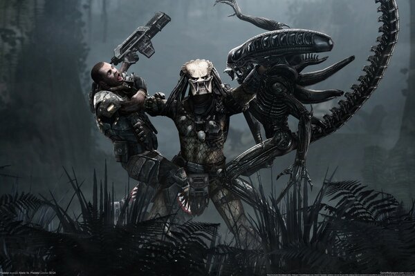Pétrissage Predator vs Alien et l homme dans le jeu