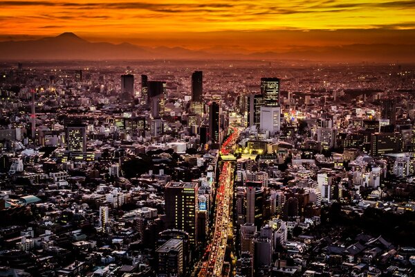 Increíble Tokio en el sol del atardecer