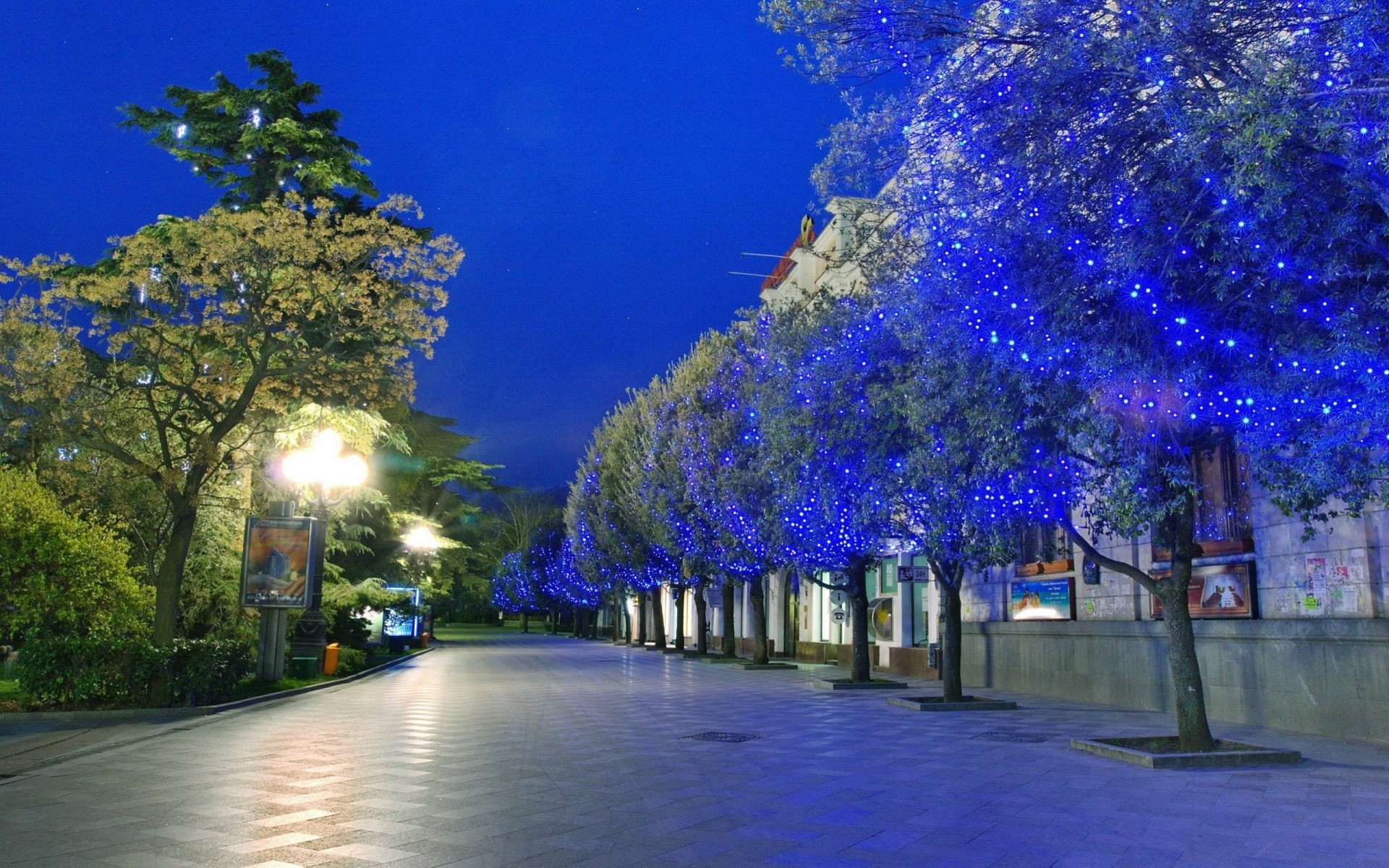 parque noche palmeras azul blanco luces ciudad