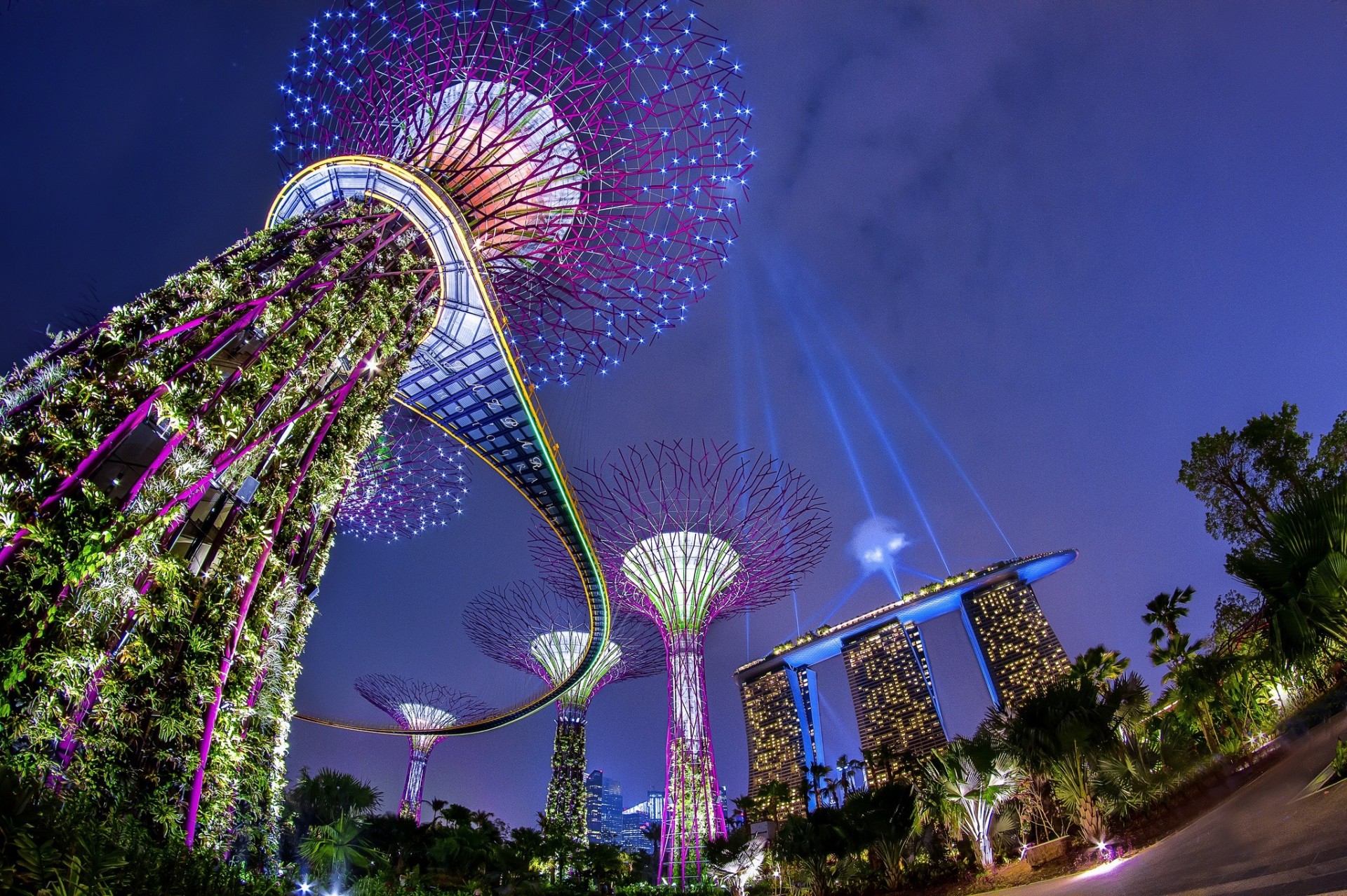 lights light night singapore park marina bay architecture marina bay sands supplie