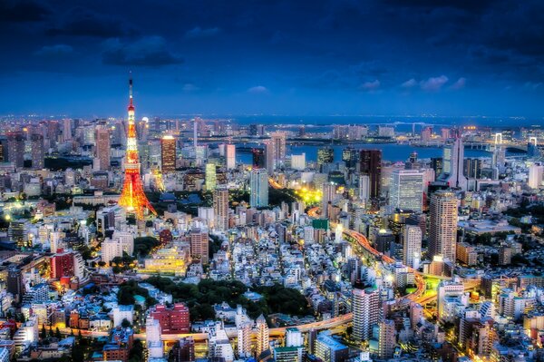 Tokyo as the vibrant capital of Japan