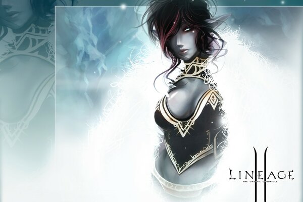 Computer poster of the game lineage2