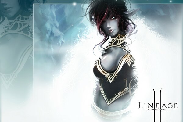 Juego de ordenador lineage2