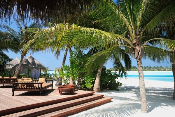 Beach with hot sand and palm trees