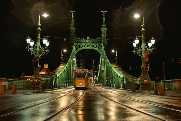 Hermosa ciudad nocturna de Budapest