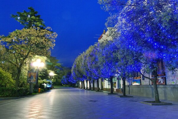 Le parc du soir avec un postvetka bleu