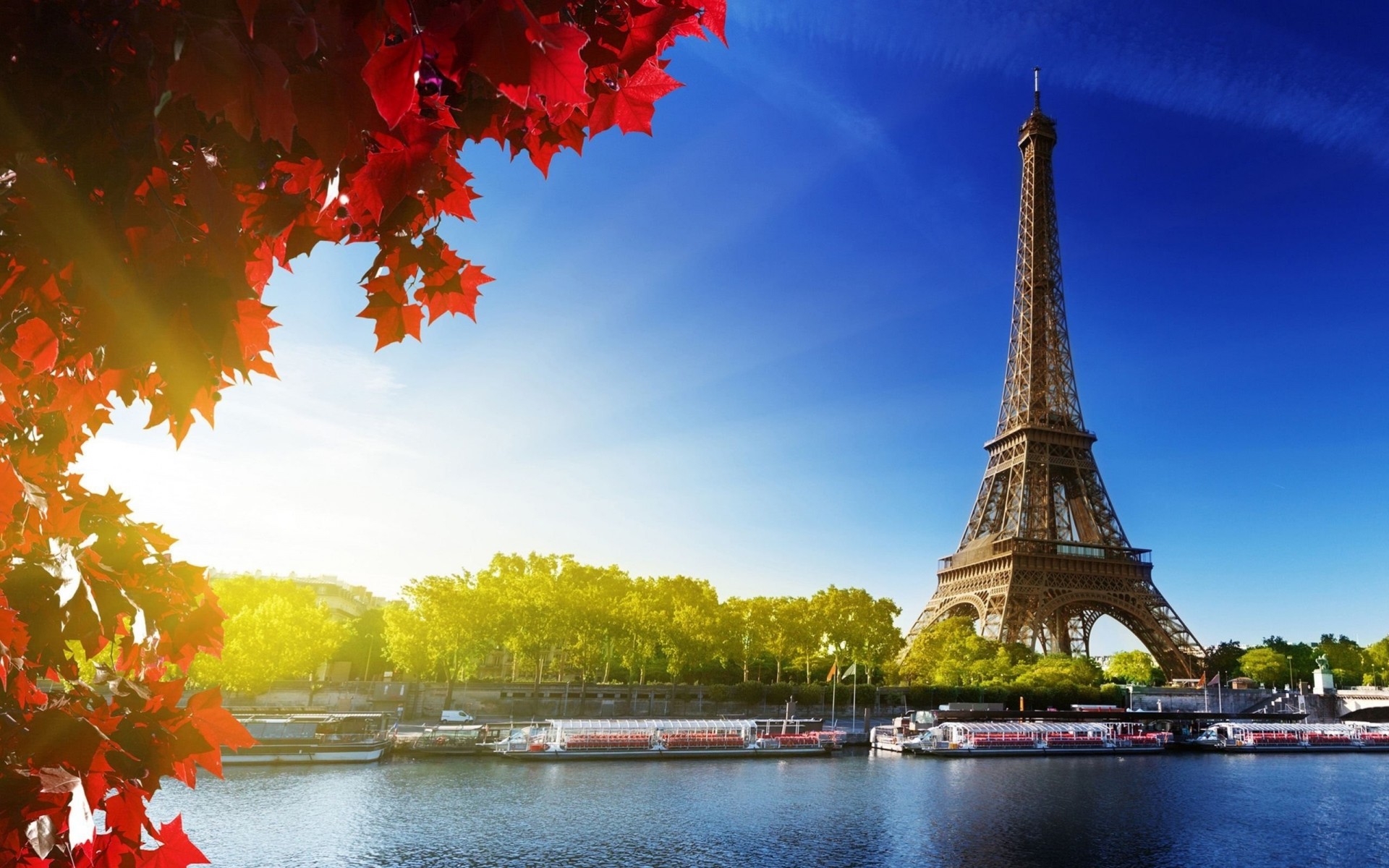 qatar airways parís hoja otoño fotografía torre eiffel