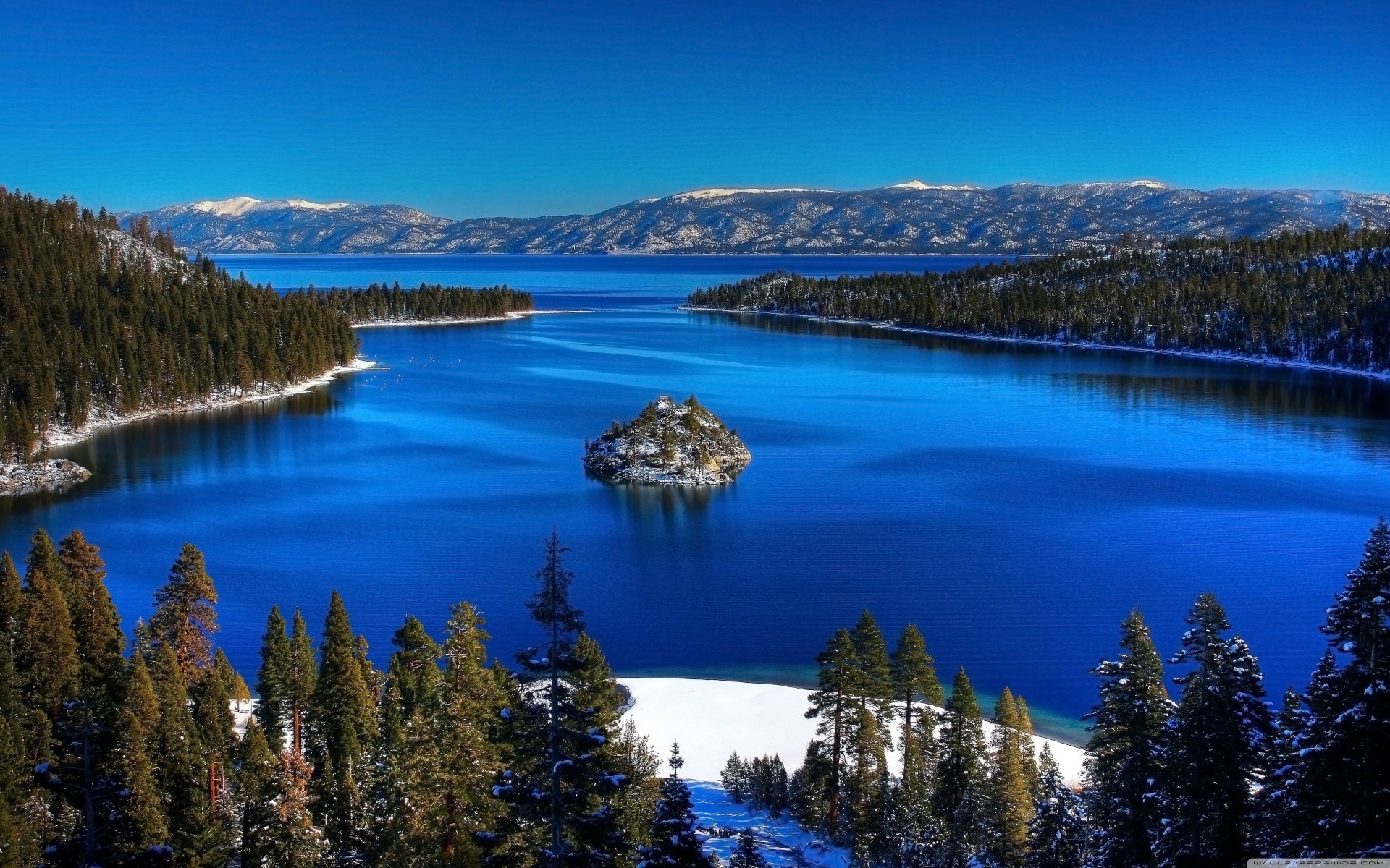 kalifornien see tahoe palmen wald blau berg winter